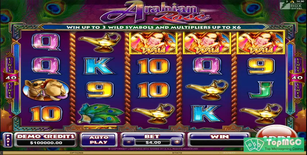 Arabian Rose Slot Demo
