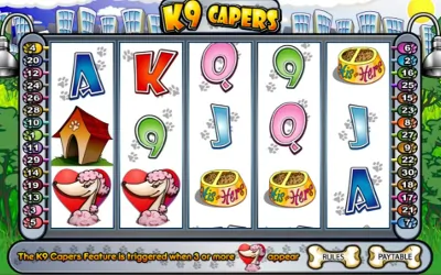 K9 Capers Small Image