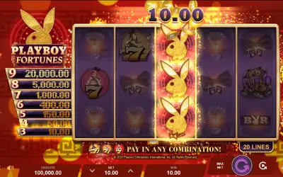 Playboy Fortunes Small Image