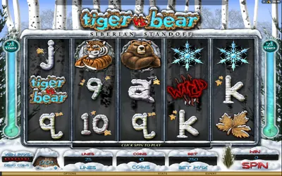 Tiger vs. Bear Small Image
