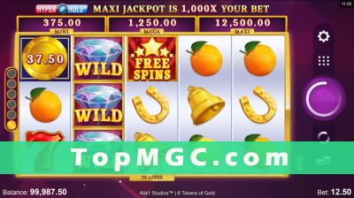 6 Tokens of Gold slot