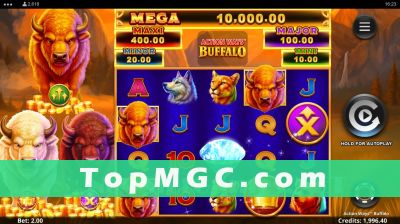 Action Ways Buffalo slot
