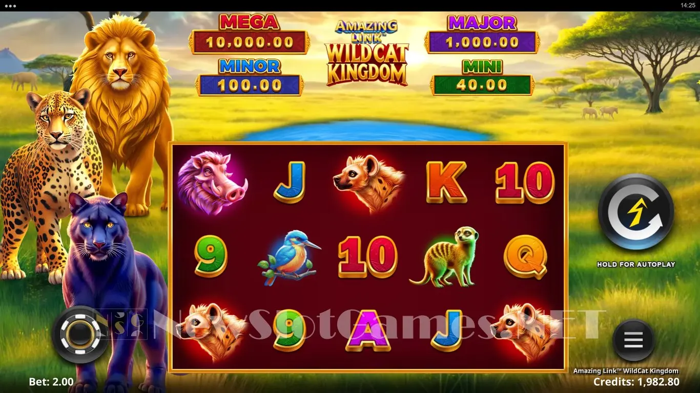 Amazing Link WildCat Kingdom slot