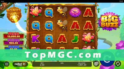 Big Buzz slot