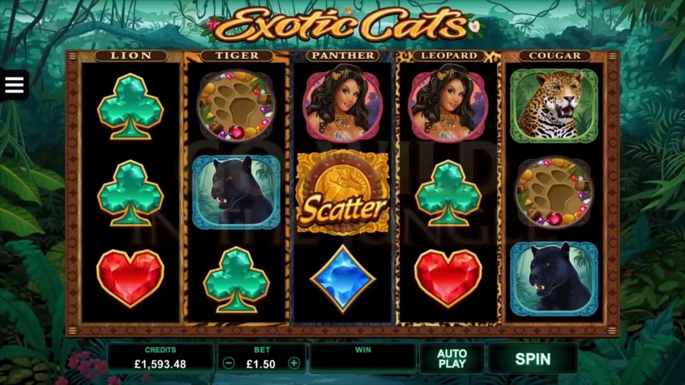 Exotic Cats slot