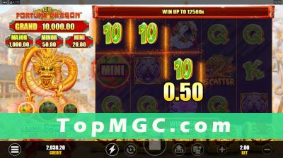 Fortune Dragon slot