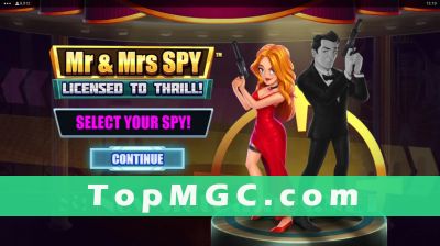 Mr & Mrs Spy slot