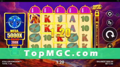 Stallion Kingdom slot