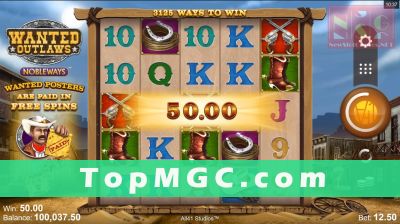 Wanted Outlaws slot