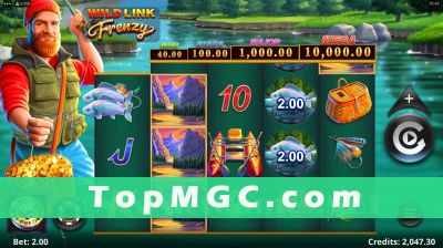 Wild Link Frenzy slot