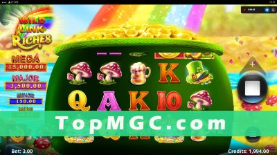 Wild Link Riches slot