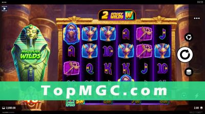 Wild Tomb slot